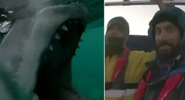 ¡Escalofriante! Enorme tiburón empieza a atacar repentinamente una lancha donde se encontraban dos pescadores (VIDEO)