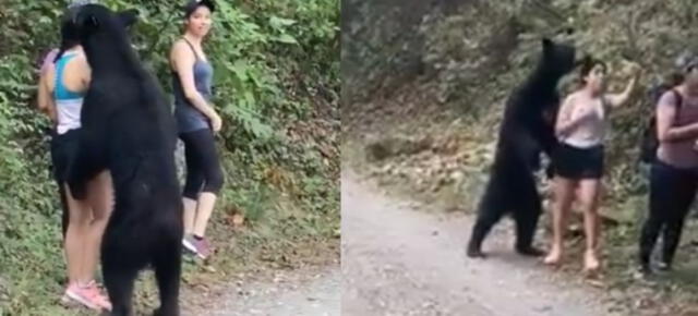 Un oso negro salvaje "abraza" a una mujer, pero esta lo ignora y hasta se toma un selfie (VIDEO)