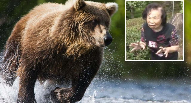 "Lo arrojé lejos mí y lo mandé a volar": Anciana japonesa de 82 años se enfrenta a un oso salvaje y sale victoriosa (VIDEO)