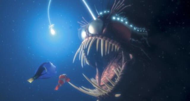 El pez que casi se come al papá de Nemo: Conoce la impresionante conducta reproductiva del Rape