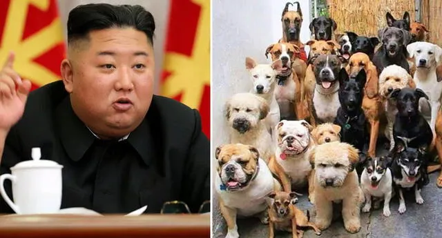 Kim Jong-un ordena a norcoreanos a entregar sus perros para que sean alimento