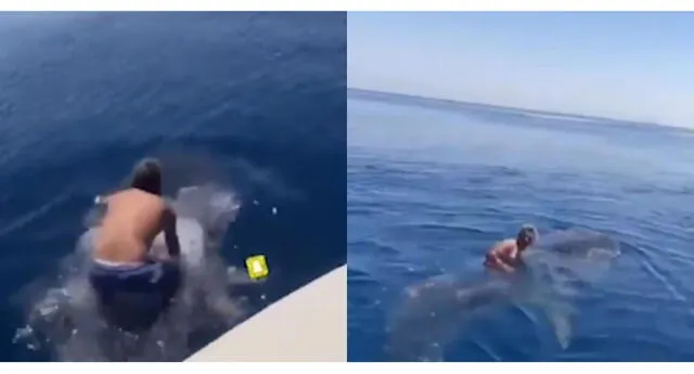 ¡Insólito! Un hombre salta sobre un tiburón y empieza a montarlo como un jinete (VIDEO)