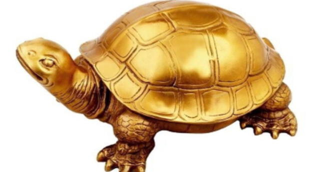 ¡Maravilla natural! Aparece tortuga dorada y lugareños creen que es la reencarnación del dios Vishnú (FOTOS)