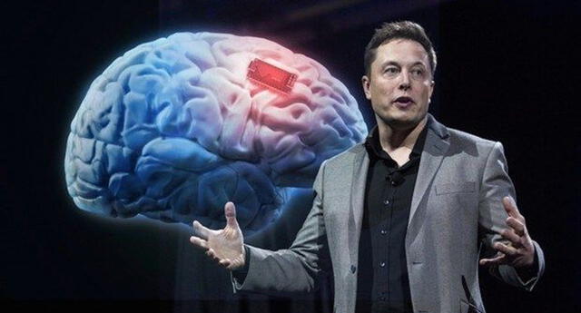 Elon Musk probaría sus chips cerebrales en humanos como parte de su nuevo proyecto