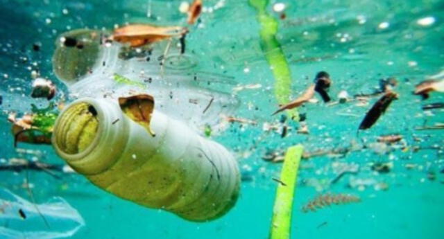 ¡Buenas noticias para el medio ambiente! Científicos crean plástico que se puede reciclar infinitas veces