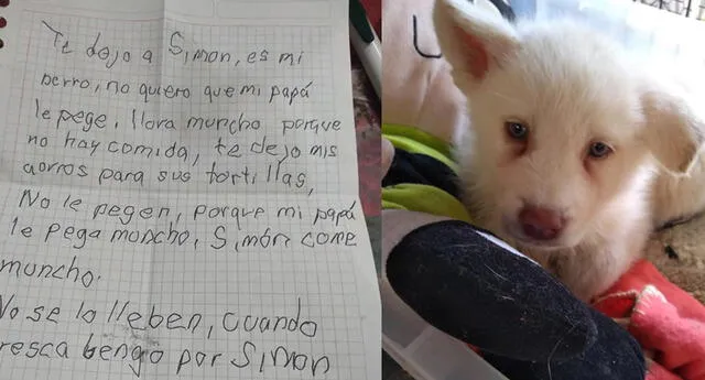 Niño conmueve con triste carta al dejar a su perrito en albergue