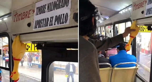 Lima: Bus que usa un pollo de goma en lugar de un timbre se vuelve viral en TikTok
