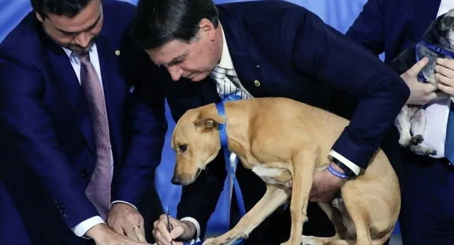 Perro del presidente de Brasil, Jair Bolsonaro, firma ley contra el maltrato animal