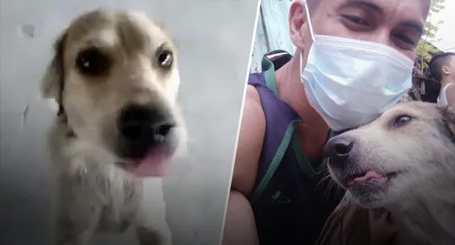 Hombre se reencuentra con su perro tras 3 meses y hace llorar a las redes sociales (Video)