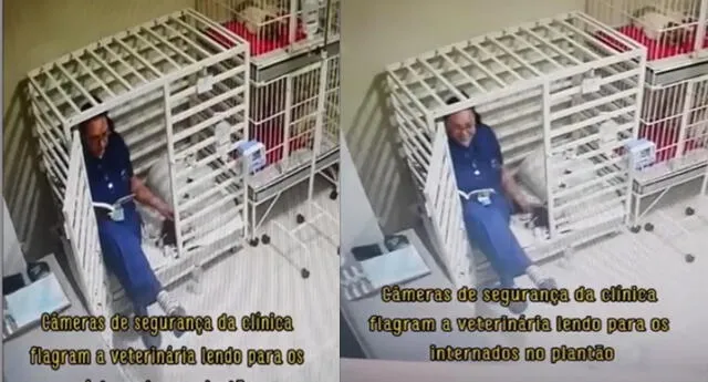 ¡Conmovedor! Una veterinaria es captada leyendo cuentos a perrito enfermo y se vuelve viral