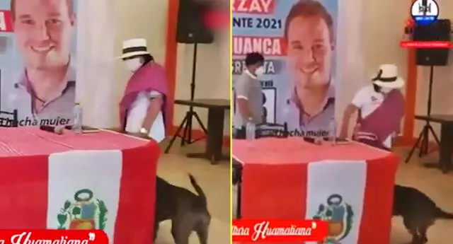 Candidata al Congreso patea a un perro en su local partidario.