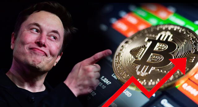 ¡Lo hizo de nuevo! Bitcoin aumenta un 20% su valor, gracias a Elon Musk