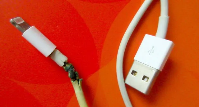 Los cables Lightning de Apple a menudo son víctimas de daños como deshilachamiento debido a que son bastante delgados./Fuente: Getty Images.