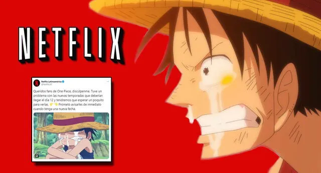 Netflix se justifica por no subir los nuevos arcos de One Piece.
