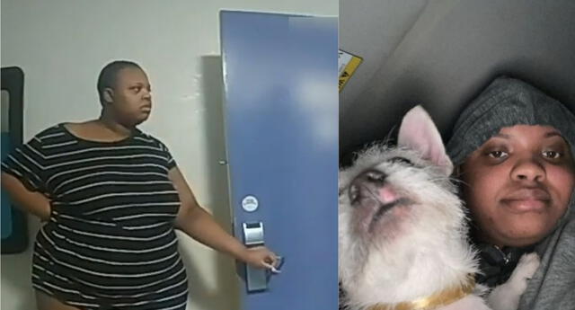 Un nuevo video captó la frívola confesión de la influencer Brittany Johnson cuando fue arrestada por cometer crueldad animal contra su mascota./Fuente: Insider.