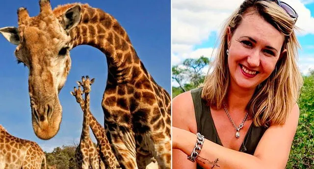 Merelize Van Der Merwe causa polémica en las redes por matar a una jirafa.