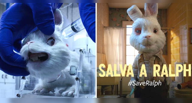 ‘Save Ralph’ da potente mensaje sobre las pruebas cosméticas en animales.