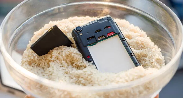 El truco de colocar un celular mojado en arroz no sirve de nada.