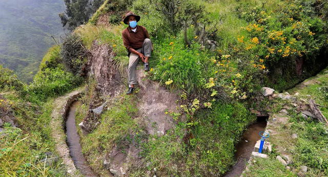 En Huarochirí, los pobladores utilizan la “siembra de agua” (Foto: AFP)