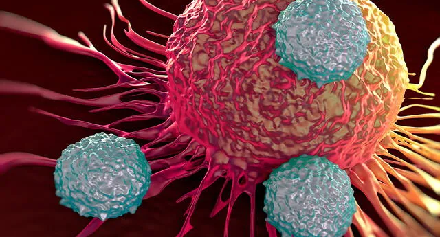 Científicos cada vez se acercan más a la cura contra el cáncer.