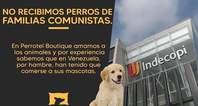 Indecopi se pronuncia sobre negocio para mascotas Perrotel, que rechazaba