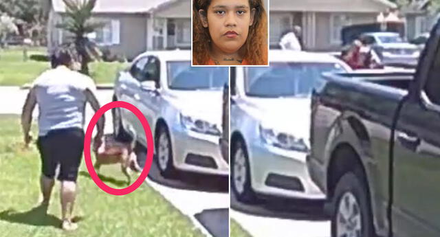 Mujer le dispara a perro en la calle, pero impacta su hijo, conmocionando redes sociales