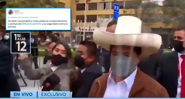 Periodista es maltratada por agentes de seguridad de Castillo (Captura: Canal N)