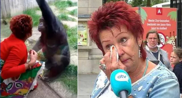 Mujer belga es prohibida de ingresar a zoo por  su vínculo con un chimpancé (Captura ATV)