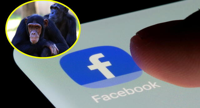 Facebook asoció por error a hombres negros con 'primates' | Foto: RT