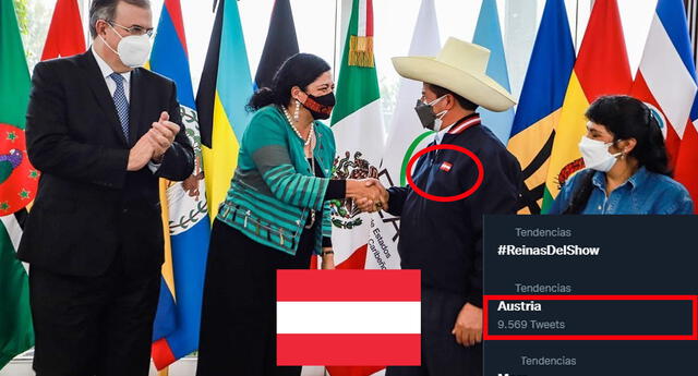 Pedro Castillo llama la atención en redes por bandera en su traje y Austria se vuelve tendencia | Foto: Presidencia Perú