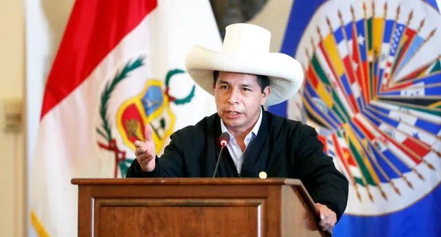 Presidente Pedro Castillo en la OEA: “En el Perú tenemos corruptos hasta para exportar” | Foto: Difusión