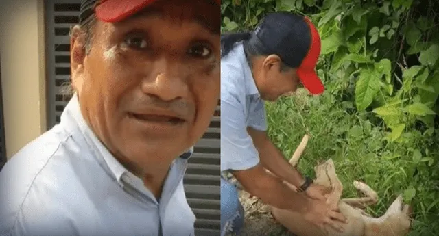 Señor llora al reencontrarse con su mascota luego de 2 años