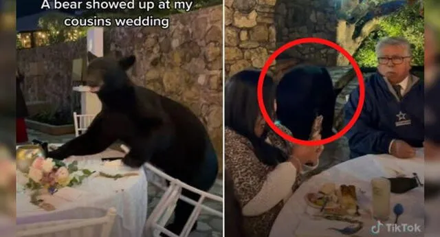 Oso salvaje interrumpe boda y asusta a invitado (Foto: TikTok)