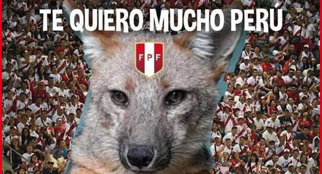 Run Run' peruano: el nuevo meme para celebrar los triunfos de la Blanquirroja