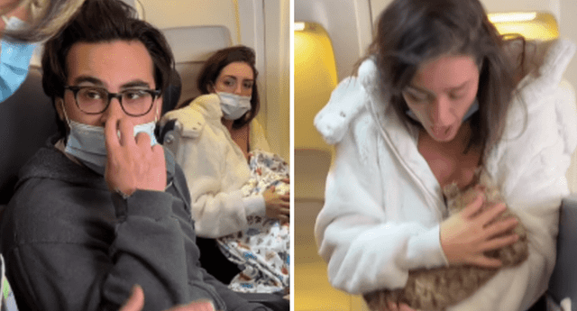 Hombre acusa a mujer de amamantar a un gato en un avión y el final se hace viral. (Foto: composición/ La República)