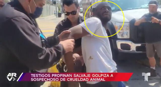 Estados Unidos: Ciudadanos golpean a hombre que maltrataba a un perrito / Foto: Captura Telemundo